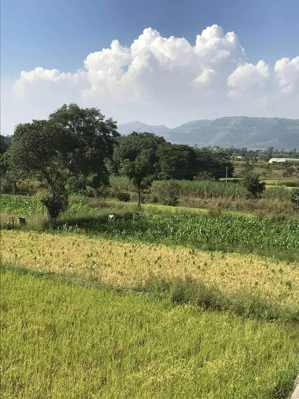 Lote en Laguna Estates — foto 1